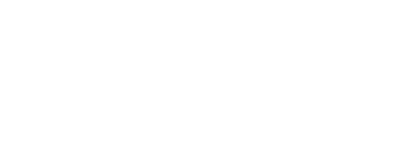 mode-effect-wpcom-vip-logo-white